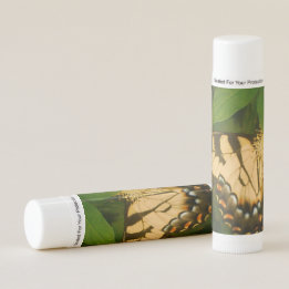 Feeding Yellow Monarch Lip Balm