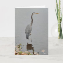 Feel All That You Feel Card