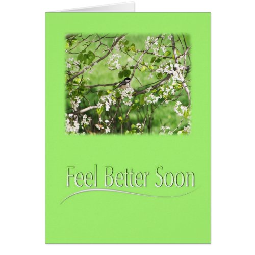 Feel Better Black Cap Chickadee Card