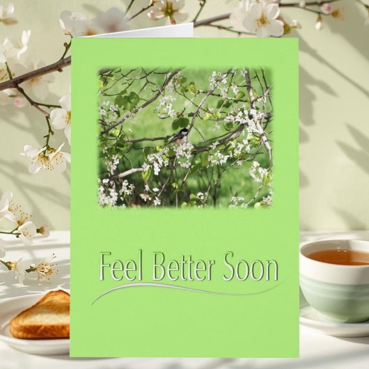 Feel Better Black Cap Chickadee Card