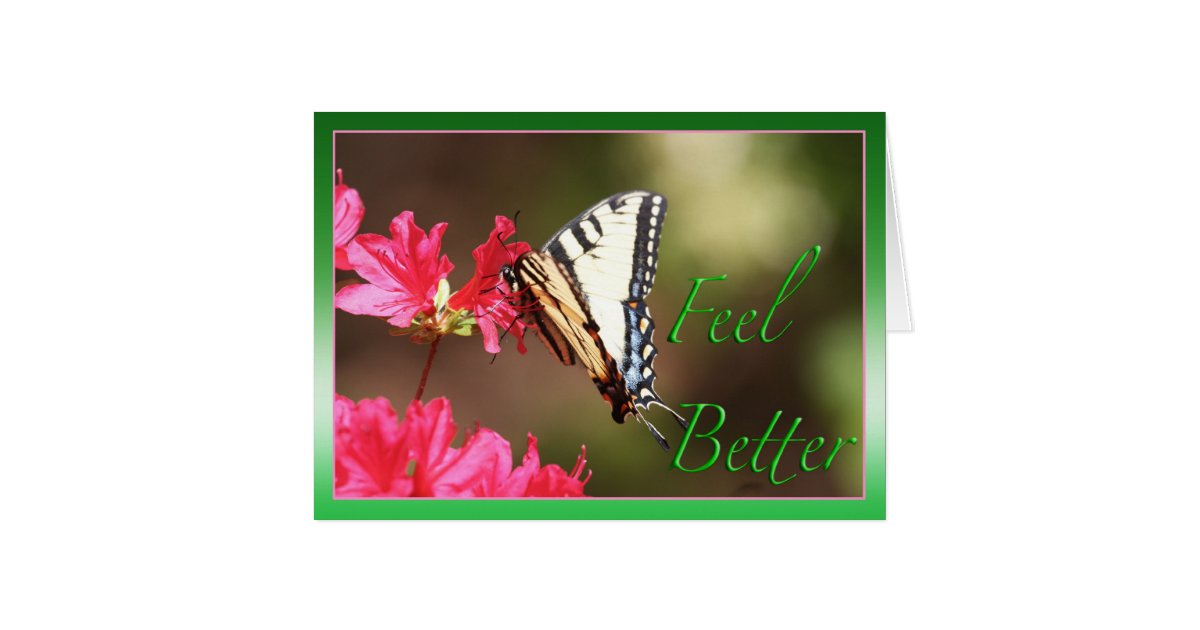 Feel Better Butterfly Card | Zazzle