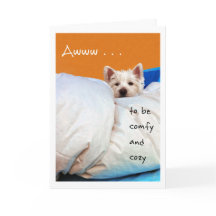 Feel Better, Cozy and Comfy Westie Dog