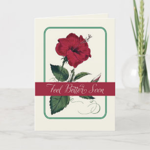Feel Better, Red Hibiscus Flower, Religious Holiday Card