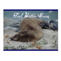 Feel Better Soon (Sea Lion) - Postcard