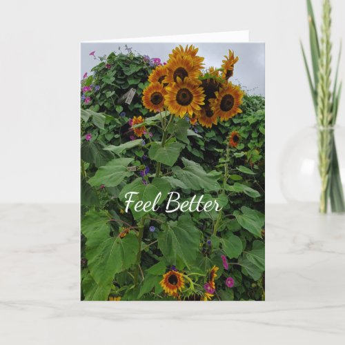 Feel Better Sunflowers and Morning Glories  Card