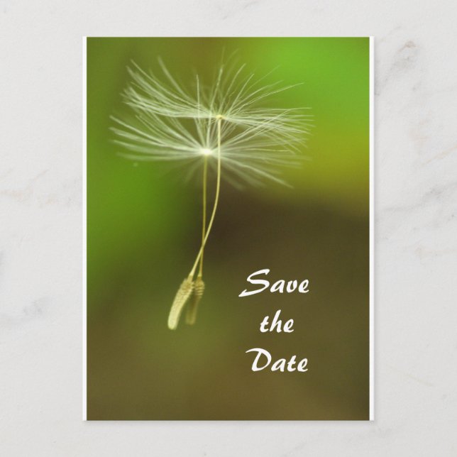 Feel free - Flying Dandelion seed Announcement Postcard (Front)