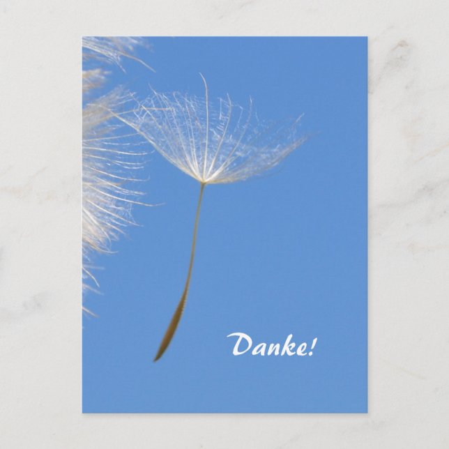 Feel free - Flying Dandelion seed Postcard (Front)