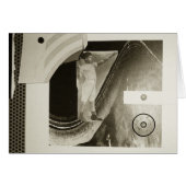 Feel the Burn (Front Horizontal)