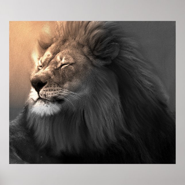 Feel The White Light Poster (Front)