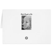 Feelin' Fine Cards (Back Horizontal)