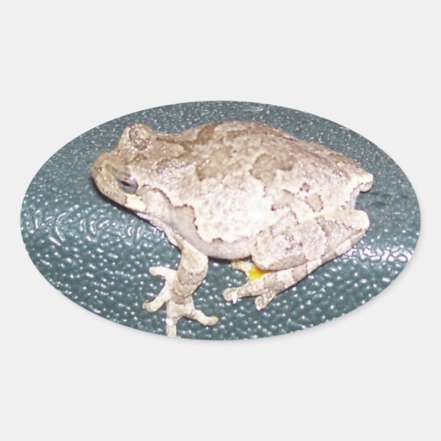 Feelin' Froggy! Oval Sticker (Front)