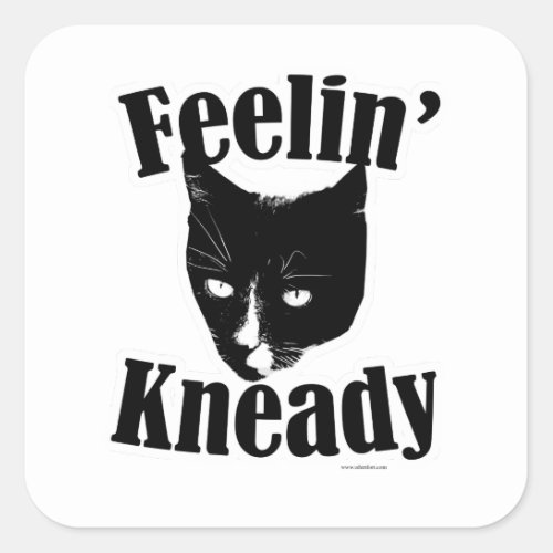 Feelin Kneady Funny Cat Cute Photo Slogan Square Sticker