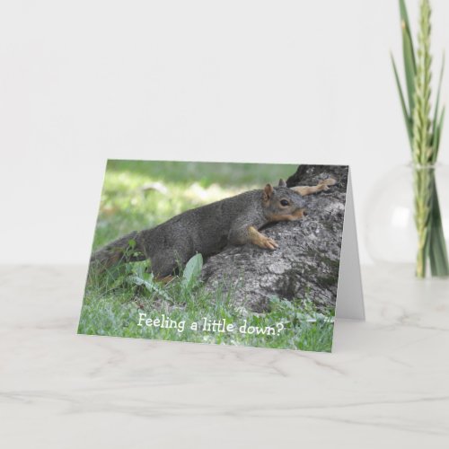 Feeling a little down Cute Squirrel  Card