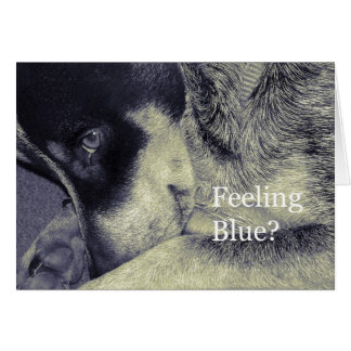 Feeling Blue Cards