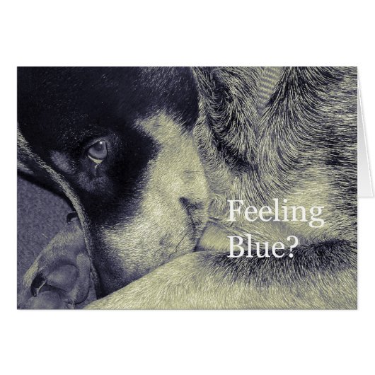 Feeling Blue Cards (Front Horizontal)