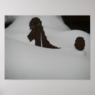 Feeling buried?? Poodle in snow Poster