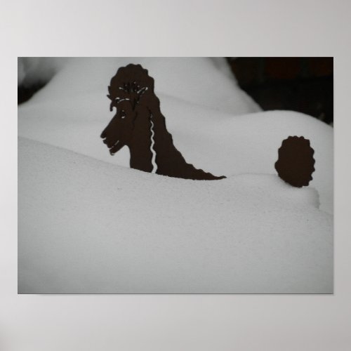 Feeling buried Poodle in snow Poster
