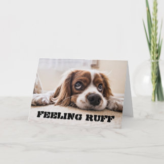 Feeling RUFF get well soon Card