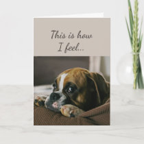 Feeling Sad Worried Cute Boxer Dog Puppy Holiday Card