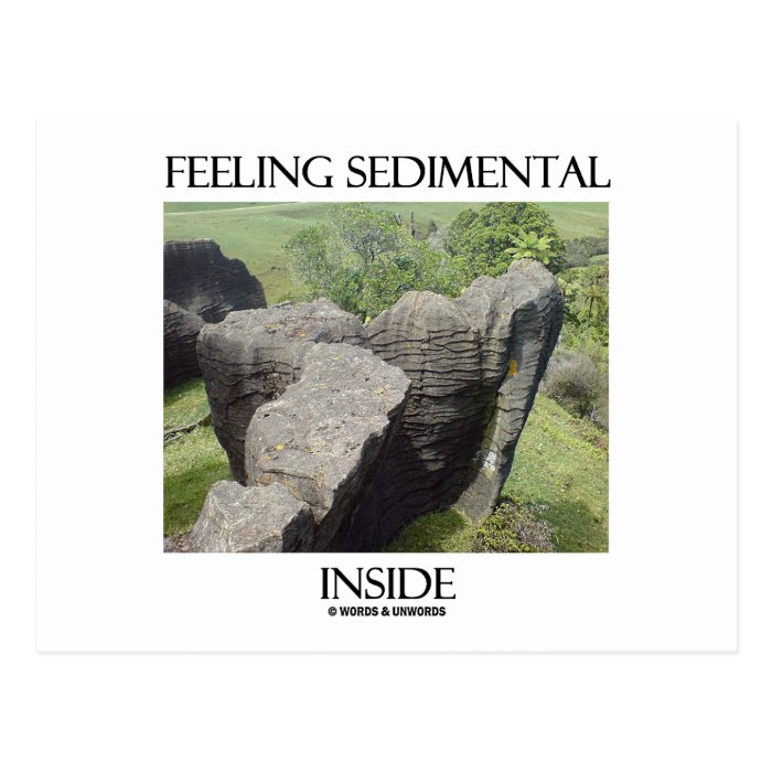 Feeling Sedimental Inside Limestone Geology Humor Post Card