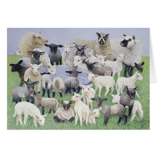 Feeling Sheepish Cards (Front Horizontal)