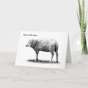 Feeling Sheepish Sheep in Pencil: Apology Card