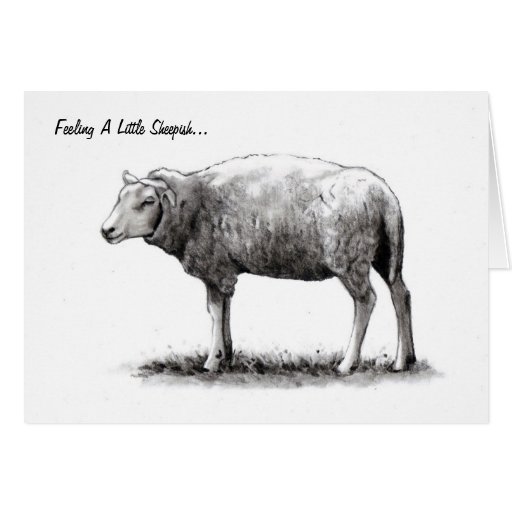 Feeling Sheepish: Sheep in Pencil: Apology Card | Zazzle