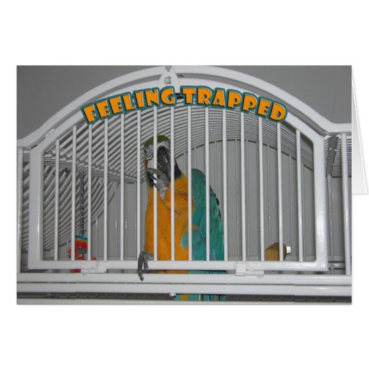 Feeling Trapped Cards (Front Horizontal)