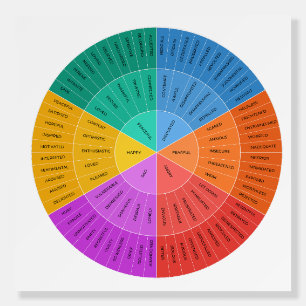 Feelings Wheel, Colorful Emotions Chart Foam Board