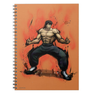 Fei Long Stance Notebook