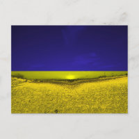 Feld in Farben der Ukraine