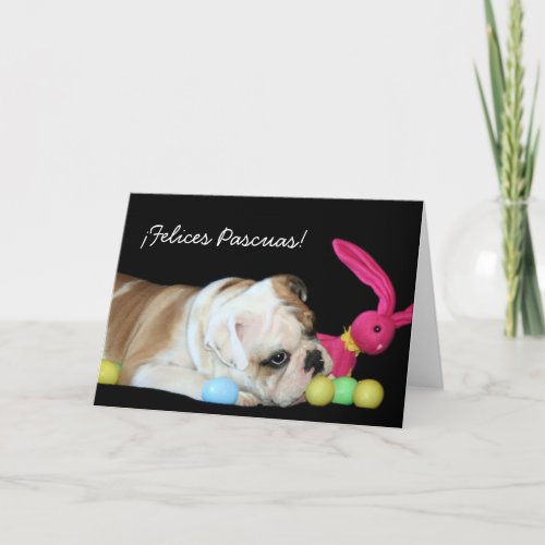 Felices Pascuas  bulldog Ingles tarjeta Holiday Card