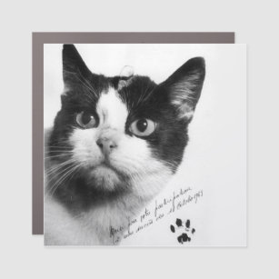 Félicette: The First Cat in Space Car Magnet