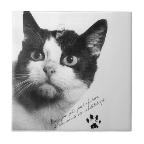 Flicette The First Cat in Space Ceramic Tile