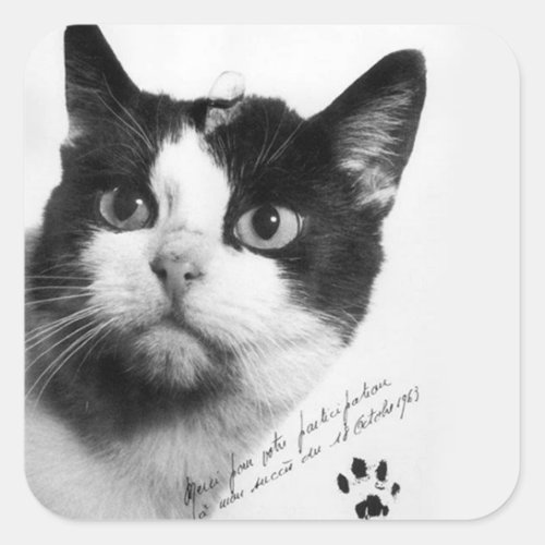 Flicette The First Cat in Space Square Sticker