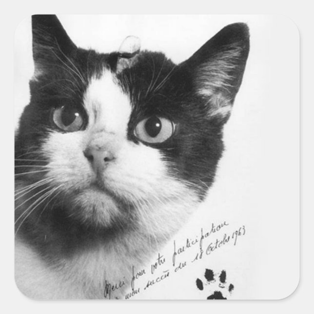 Félicette: The First Cat in Space Square Sticker (Front)