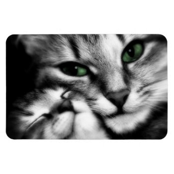 Feline Affection Magnet by Wilderzoo at Zazzle