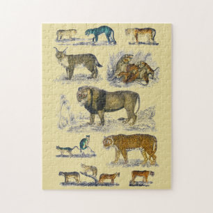 Feline Animals Jigsaw Puzzle