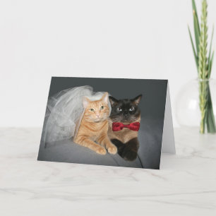 Feline Bride and Groom Announcement