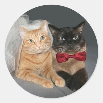 Feline Bride And Groom Classic Round Sticker by deemac1 at Zazzle
