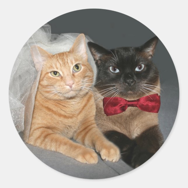 Feline Bride and Groom Classic Round Sticker (Front)