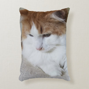 (Feline Fancy) Kitty Contemplation: Cat Photo Accent Pillow