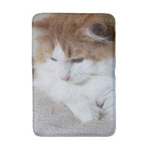 (Feline Fancy) Kitty Contemplation: Cat Photo Bath Mat