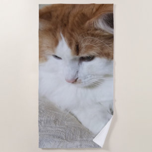 (Feline Fancy) Kitty Contemplation: Cat Photo Beach Towel