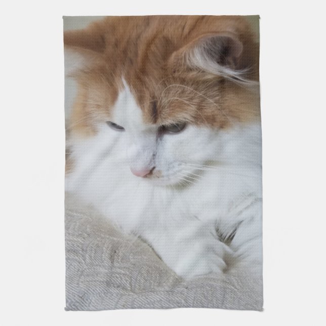(Feline Fancy) Kitty Contemplation: Cat Photo Kitchen Towel (Vertical)