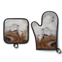 (Feline Fancy) Kitty Contemplation: Cat Photo