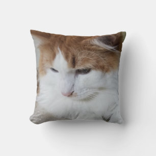 (Feline Fancy) Kitty Contemplation: Cat Photo Throw Pillow
