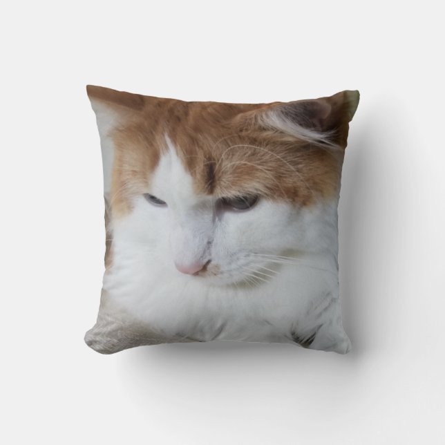(Feline Fancy) Kitty Contemplation: Cat Photo Throw Pillow (Front)