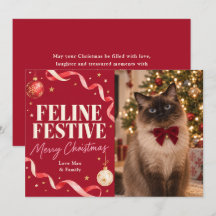 Feline Festive Cat Christmas Photo