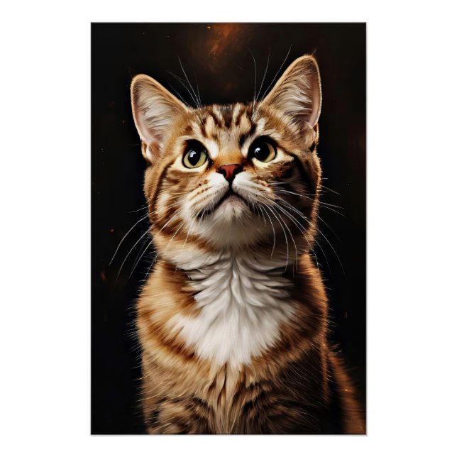 Feline Gaze Poster (Front)